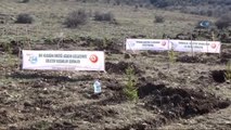 Yozgat'ta 15 Temmuz Şehitleri Hatıra Ormanı'na Fidan Dikildi