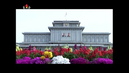 Pyongyang disposta a responder EUA com ‘armas’