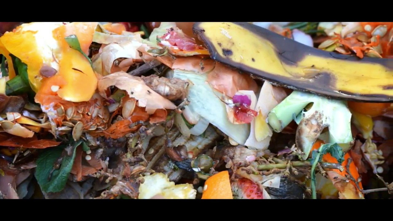 Frutarier werden [Tutorial] Jow Tommy - TrollwutTV (Reupload)