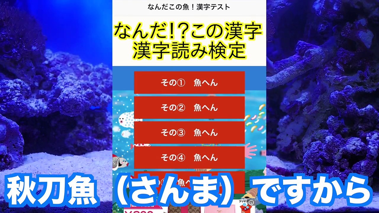 アクアリウム 魚へん漢字検定に挑戦 アクアリストなら解けるよね Video Dailymotion