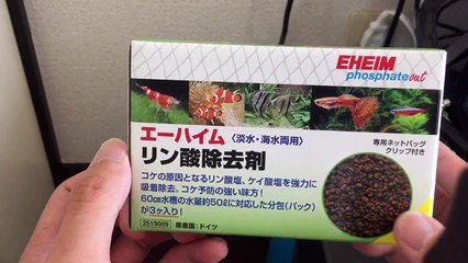 【海水魚】リン酸除去剤を濾過槽へつっこむ！コケとお別れ！？