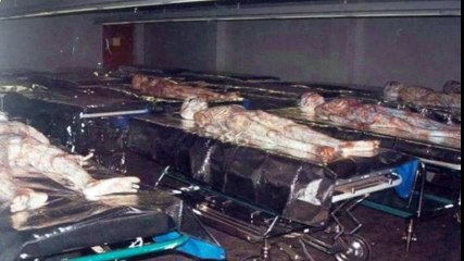 Look!Top 10 Real Alien Sightings Caught on Camera!