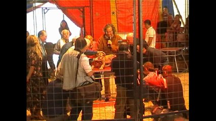 Bénédiction des animaux 2008 + Bonus (Julie et Elsa)