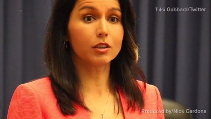 The Left is Upset With Democratic Rep's Syria Comments