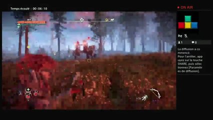 Horizon zéro dawn NIVEAU 50 (13)