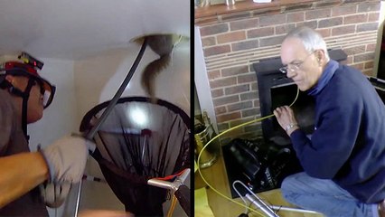 Download Video: Squirrels In Small Spaces Make Things Tricky