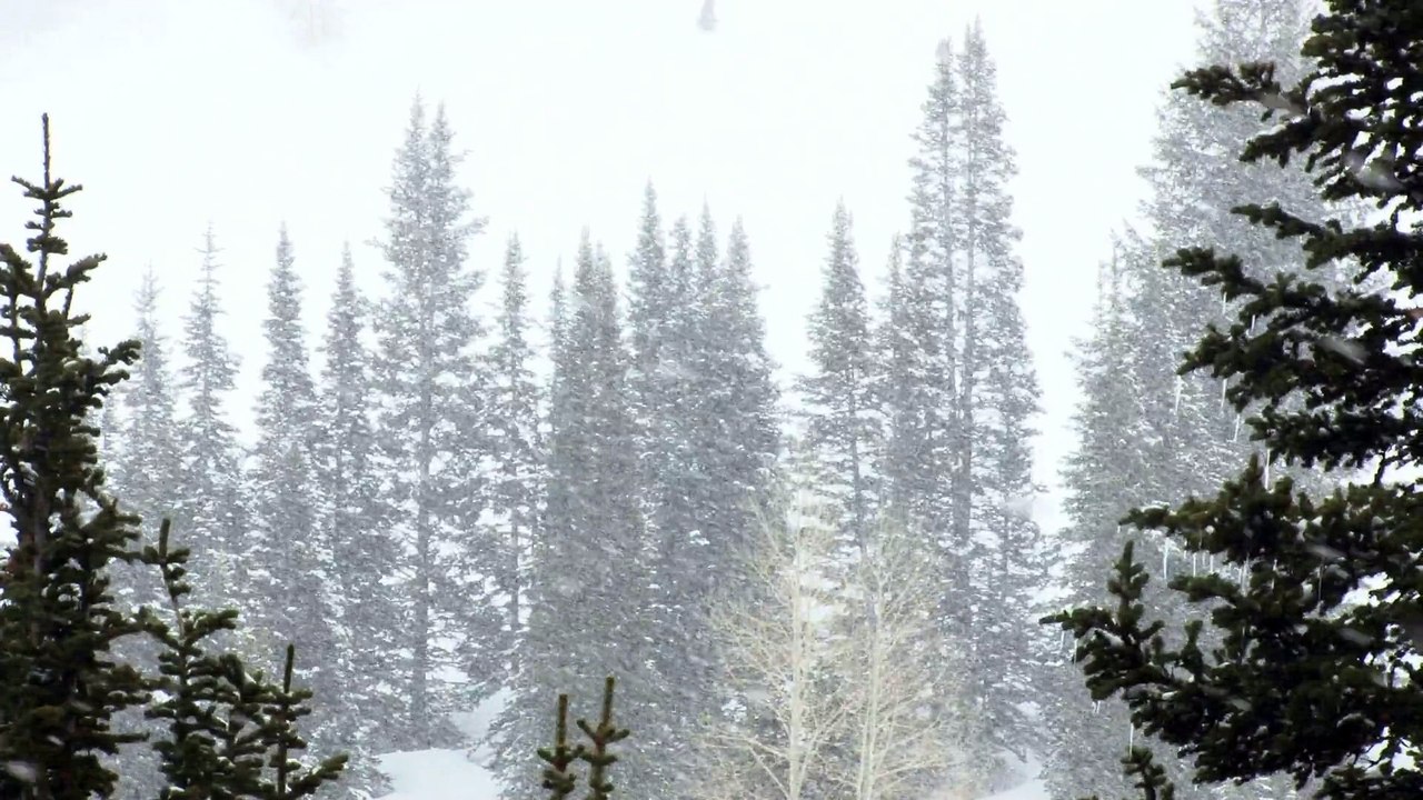 Snow
