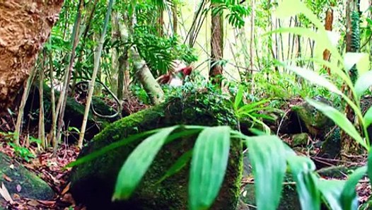 Türkisch Für Anfänger Ganzer Film Deutsch