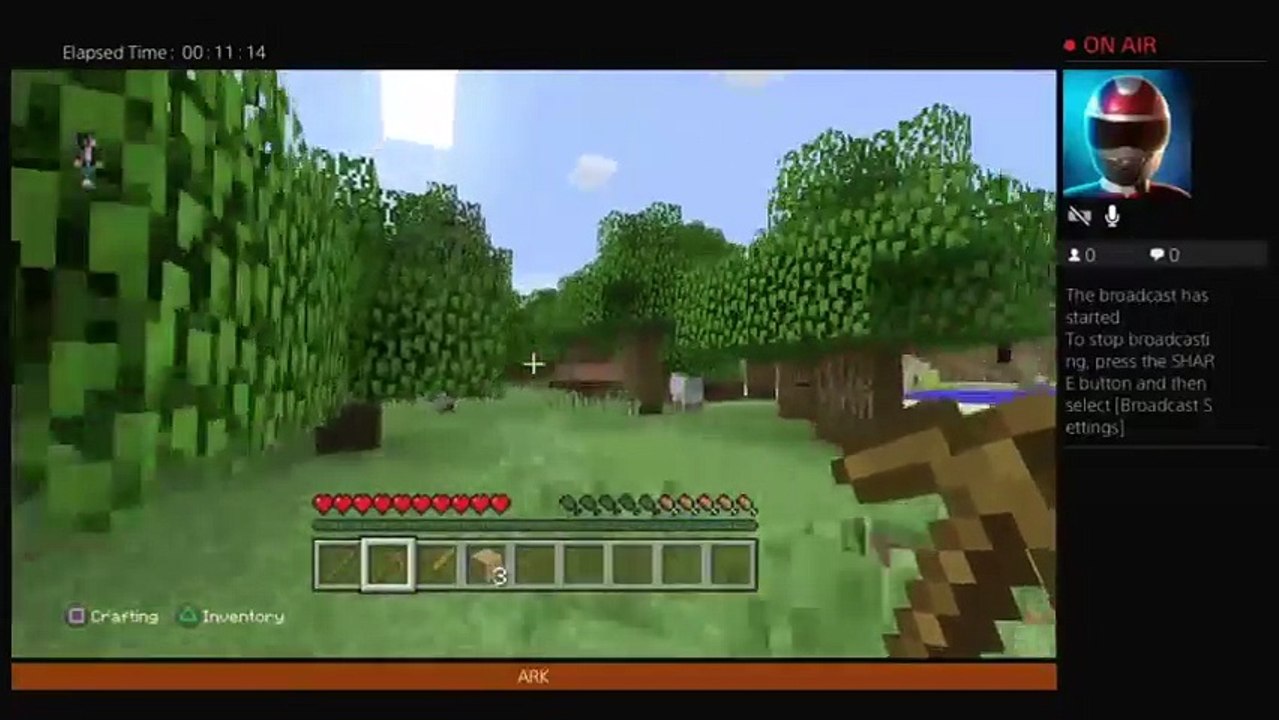Minecraft (18)