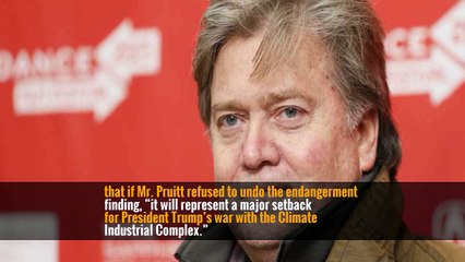 Writing in Breitbart News — the conservative website formerly run by Mr. Trump’s senior strategist, Stephen K. Bannon — James Delingpole, a writer who is close to Mr. Bannon, said