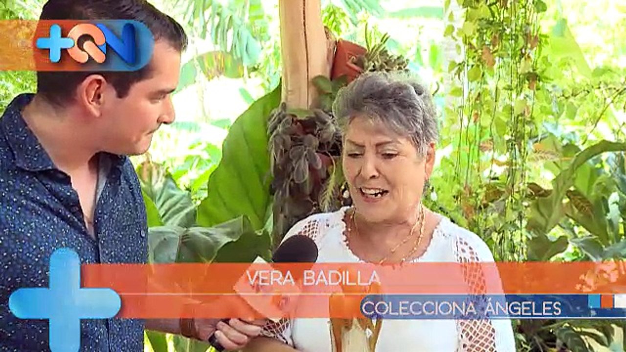 +QN 11 Abril 2017