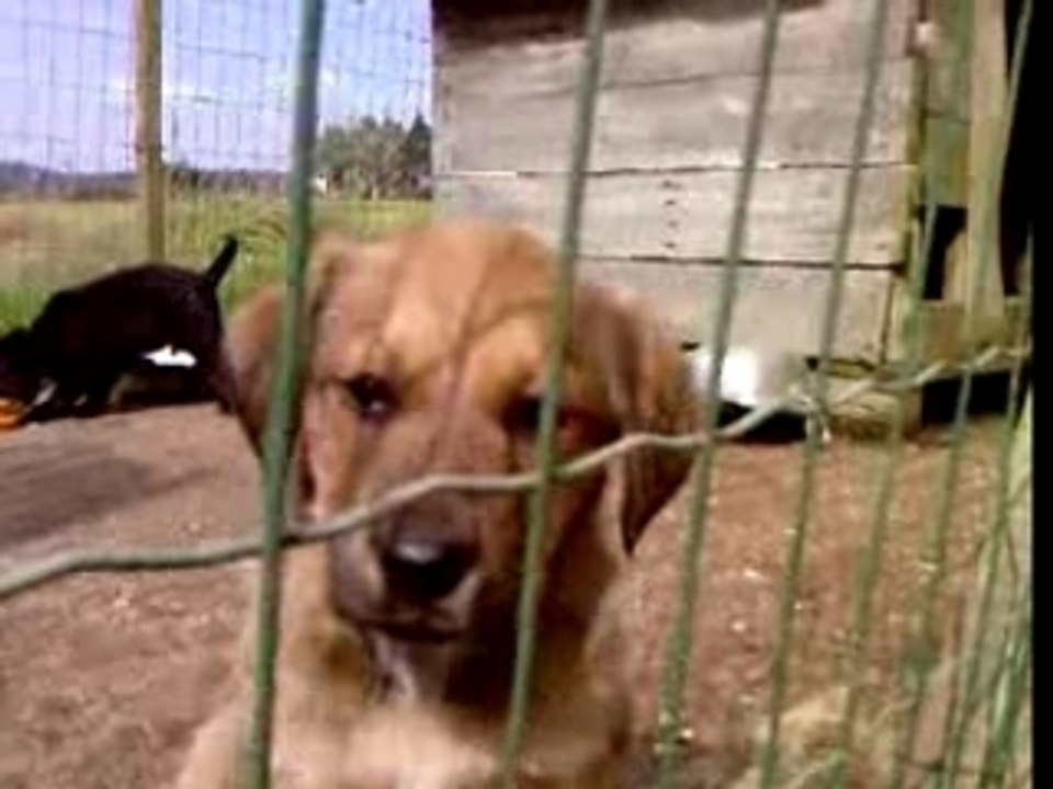 Vidéo-0001d