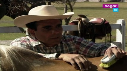 NUNCA TE OLVIDARÉ -29- Capítulos -Completos