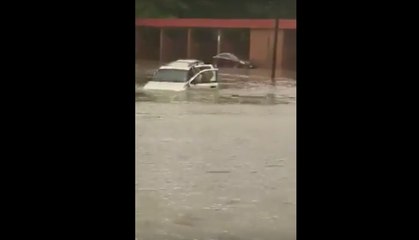 Woman, Child Rescued From Stranded Vehicle in San Marcos
