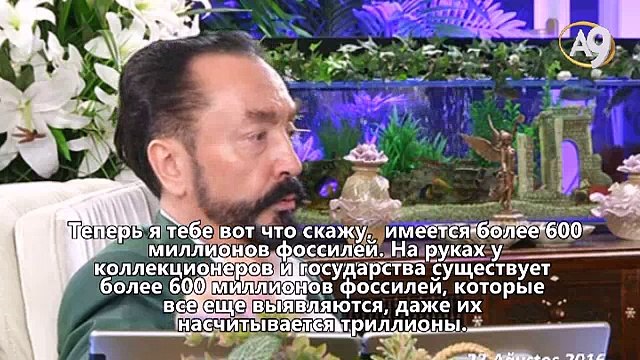 Живность не была создана эволюцией, а была сотворена приказом Аллаха – «Будь!»