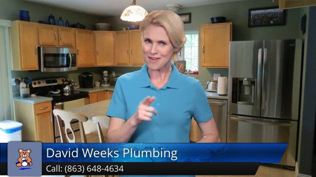 David Weeks Plumbing Lakeland Incredible Five Star Review by Dan B.