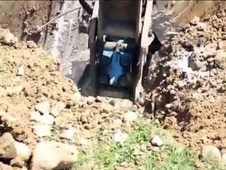 Bolu'da bir tavuk çiftliğinin, telef olan tavukları attığı kuyudan bakın ne çıktı.