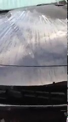 Mobile Detailing Service in Toledo