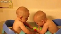 IF YOU LAUGH  Cute BABIES Laughing Hysterically