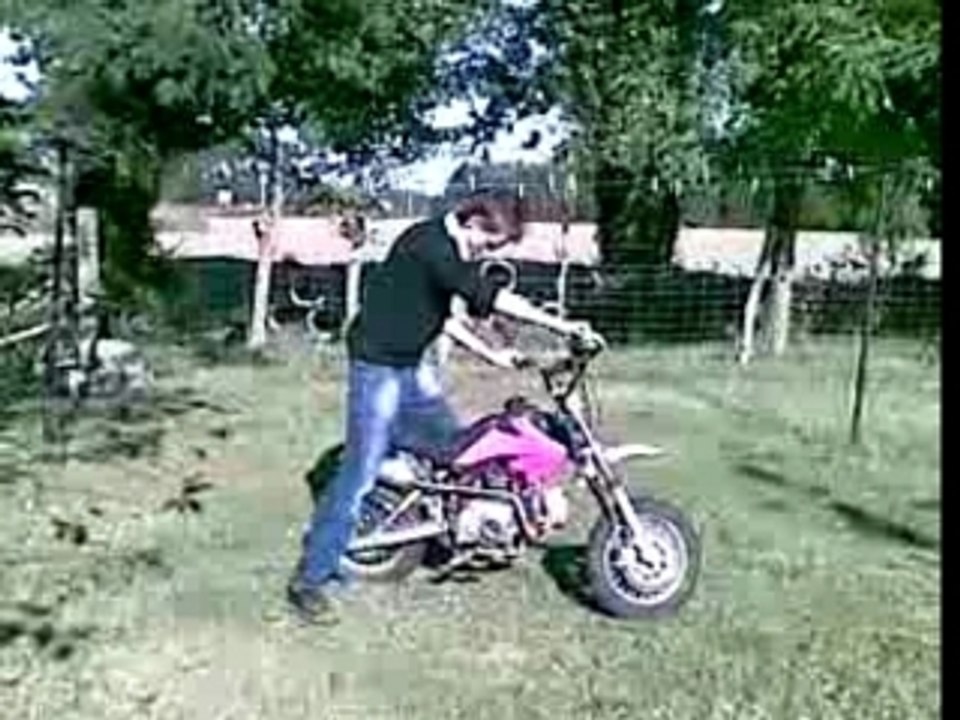 V1vouz dirt