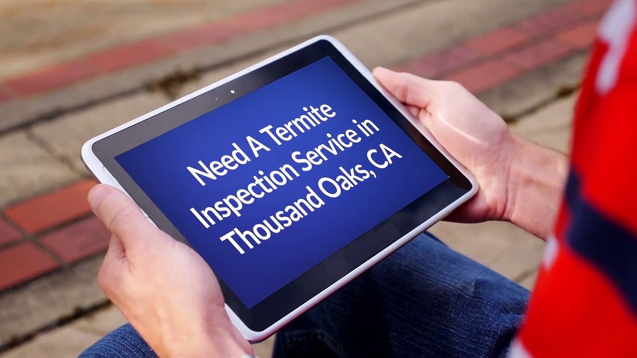 Insight Pest Management - Termite Inspection in Thousand Oaks, CA