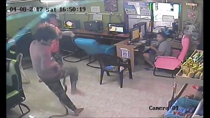 Quand un serpent s'incruste dans un cyber café... Panique à bord