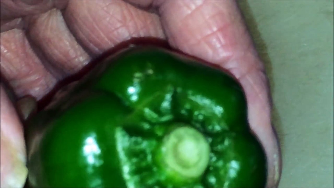 荒谷竜太フレーッシュやさい (4)
