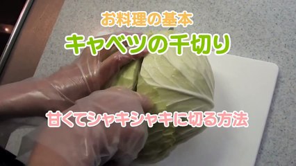 荒谷竜太フレーッシュやさい (6)