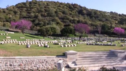 Tarihi Gelibolu Yarımadası'nda Hazırlıklar Devam Ediyor