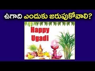 Ugadi - Tastes Of Life : Why do we celebrate Telugu New Year Ugadi, Significance - Oneindia Telugu