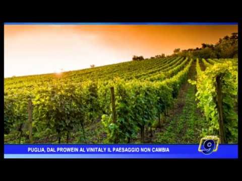 Puglia | Dal ProWein al Vinitaly... il paesaggio non cambia