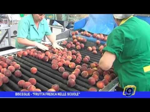 Bisceglie | Frutta nelle scuole