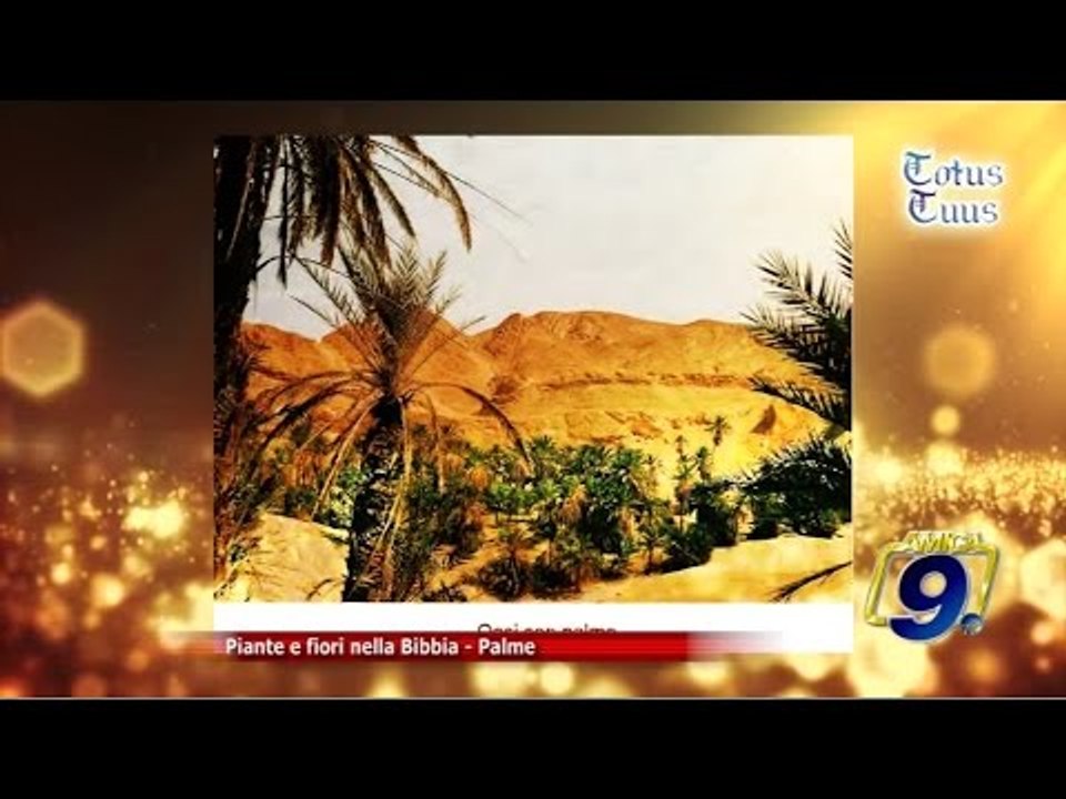 Totus Tuus | Piante e fiori nella Bibbia - "Palme"