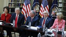 Trump promises 'pleasant surprises' on NAFTA in meeting with CEOs