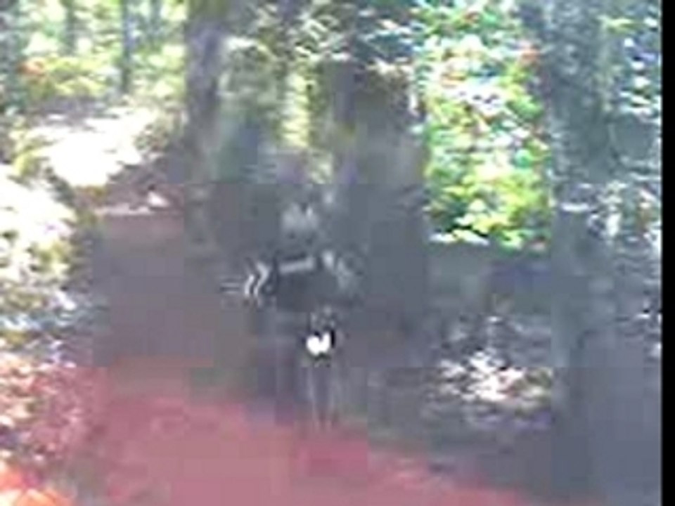 Saut en moto
