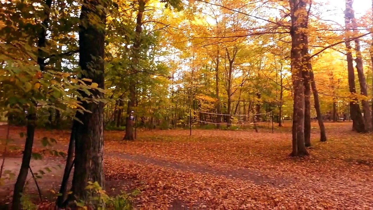 Camp Trott - Camping in Door County, Wisconsin