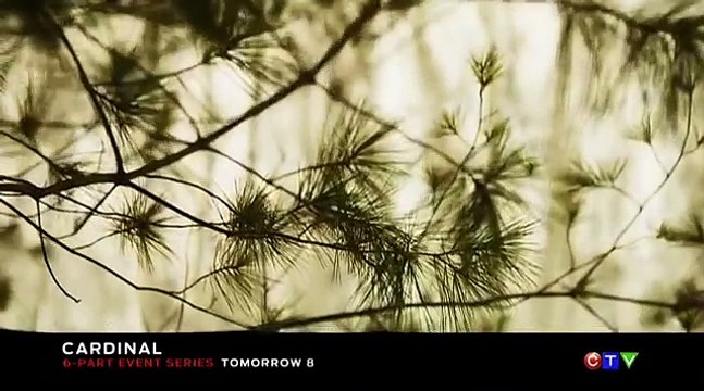 Trailer de la série canadienne Cardinal , bientôt diffusée sur Canal Plus