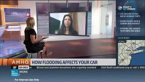 How Flooding Affects Your Car with Lauren Fix, The Car Co