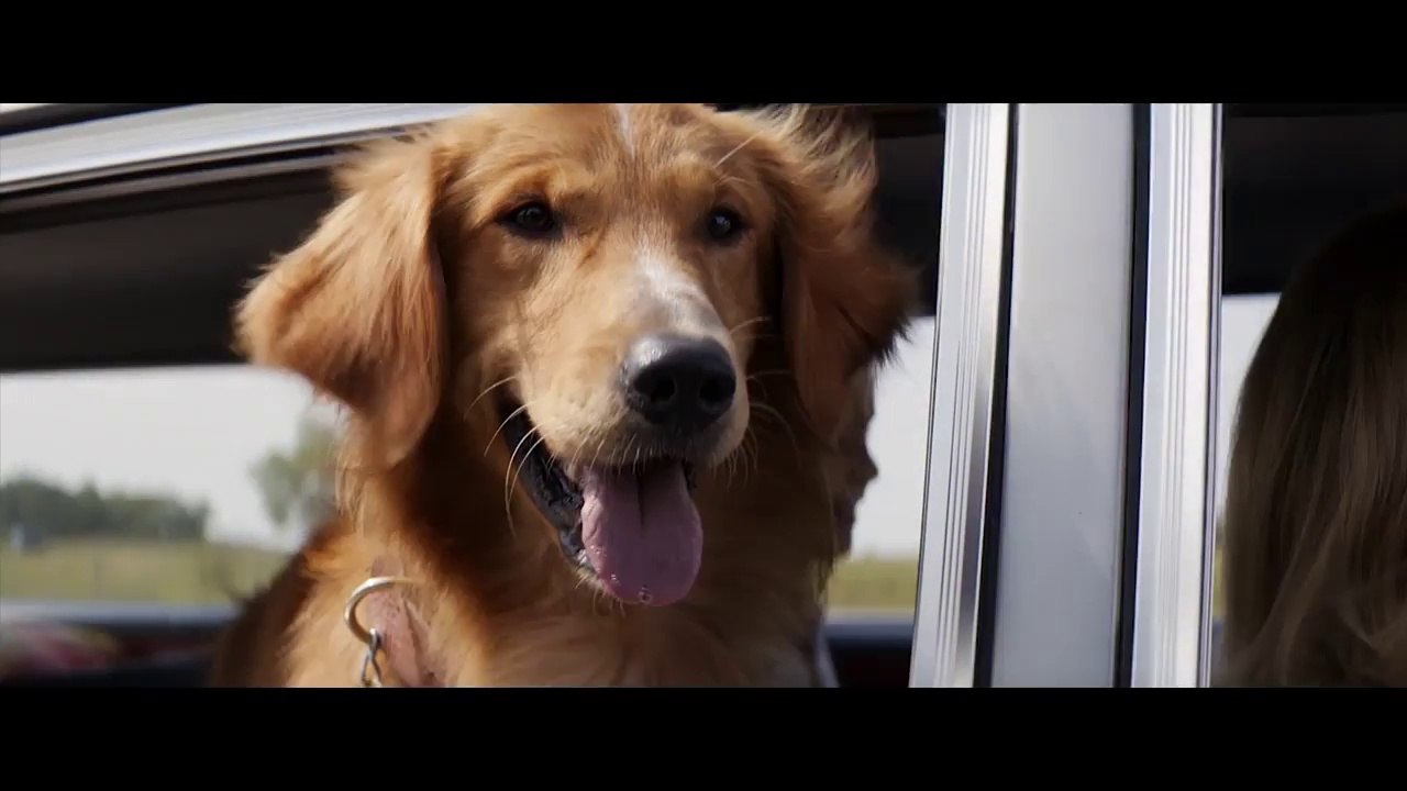 Mes vies de chien : la bande-annonce du film