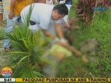 UB: Jeep, nahulog sa bangin sa Tinambac, CamSur