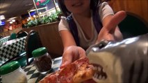 Feeding My Pet Shark, Pizza, Ice Cream & Gumballs -Toy Sharks Video