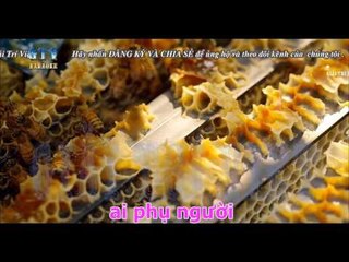 { Karaoke } Em Đã Cho Tôi Bầu Trời