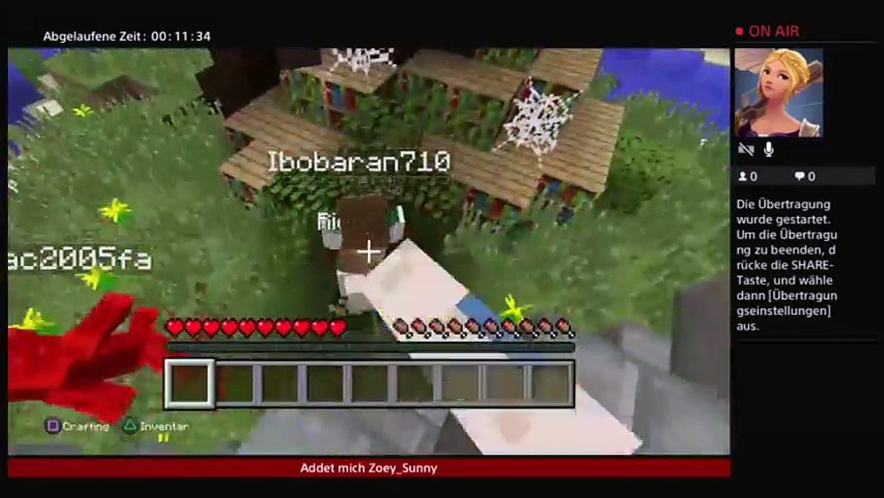 Minecraft (30)