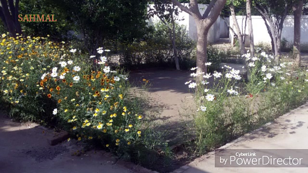 DIL THAAM  K BAHNA DIL WALO-USTAD TALIB HUSSAIN DARD