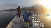 錦江湾での戦闘シーン