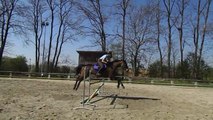 Kari - Obstacle - 9 avril 2017 - 2