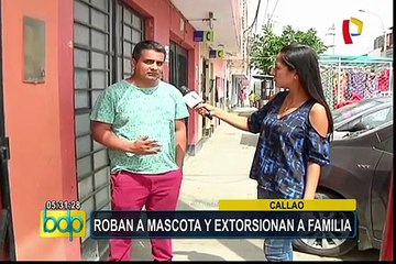 Callao: roban perro y extorsionan a familia