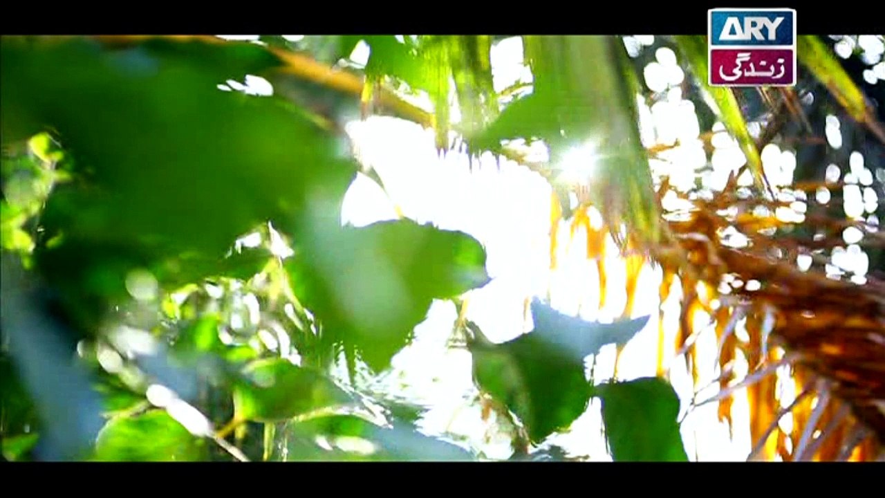 Dil-e-Barbad Episode 50 - on ARY Zindagi in High Quality - 12th April 2017