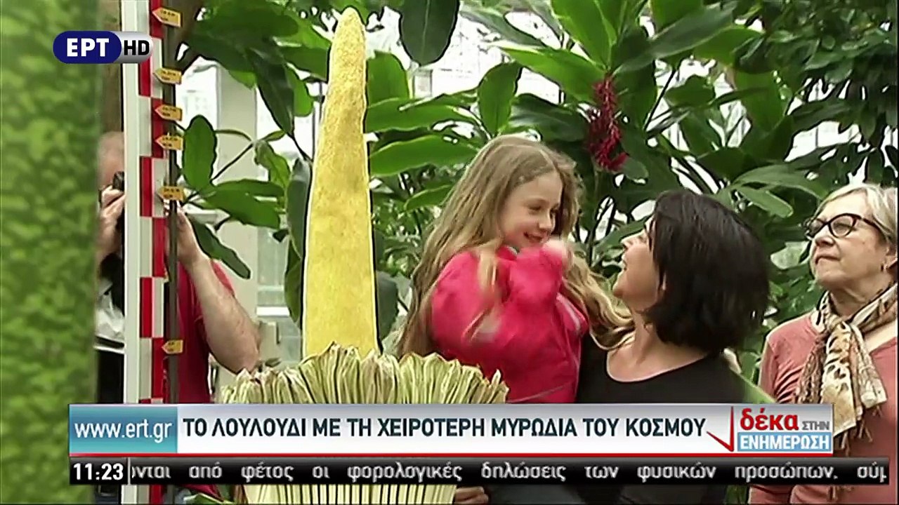 Το λουλούδι με τη χειρότερη μυρωδιά του κόσμου (ΕΡΤ1, 12/4/17)