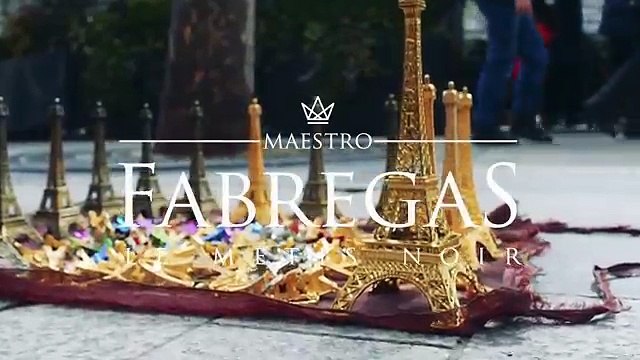 Fabregas Le Métis Noir - Mosinzo